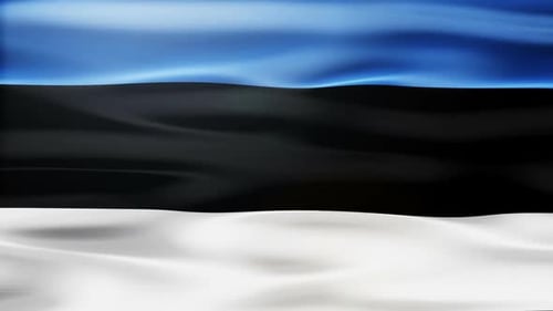 Realistic Waving Estonia Flag Loop Background