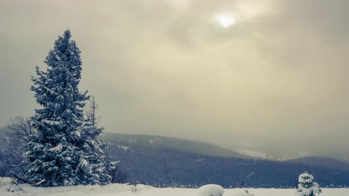 A Strong Winter Snowstorm