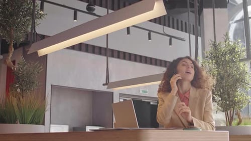 Woman Talking on Phone at Desk in Office