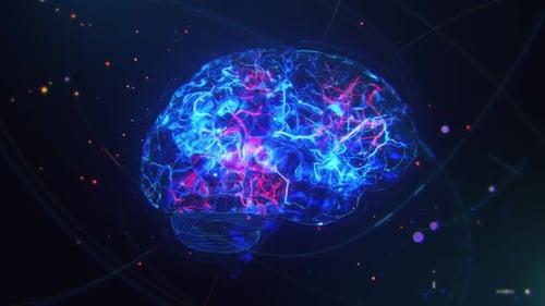 Intelligent Brain Neural Data