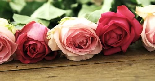 Rosa Rosen auf Holzbrett angeordnet