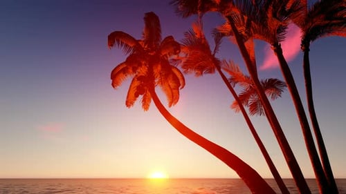 Sunset Palm And Ocean Landscape