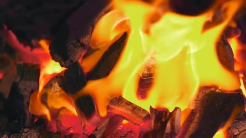 Bright Flames Burning on Wood
