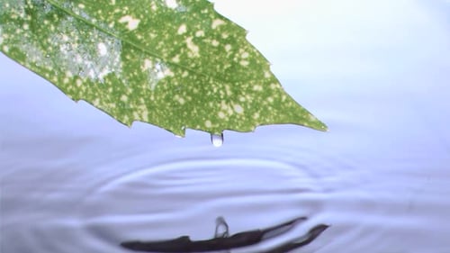 Drops water falling in super slow motion