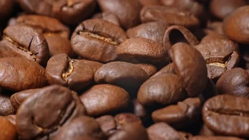 Close-Up of Roasted Coffee Beans