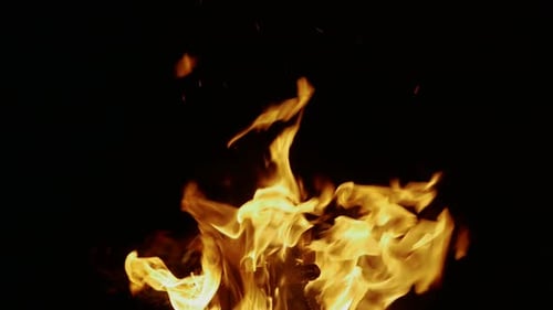 Bonfire