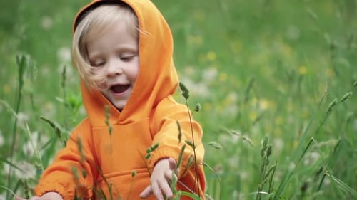 Child Exploring Green Field in Hooded Sweatshirt