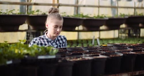 Woman Gardening in Greenhouse with Rows of Plants
