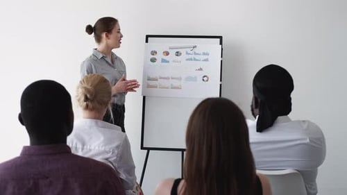 Business Seminar Project Conference Meeting Woman