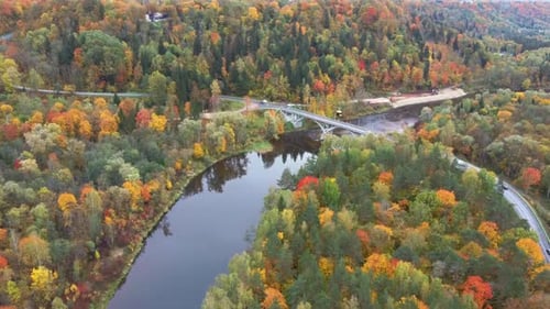 Aerial View of the Sigulda Bridge and Cable Car Over Gauja River During Golden Autumn in Latvia. 4K