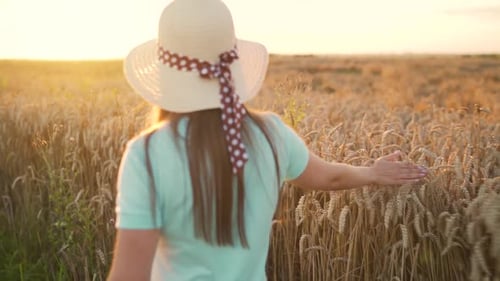 Woman in a Hat and a Blue Dress Walks Along a Wheat Field and Touches Ripe Spikelets of Wheat with