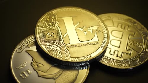 Différents types de cryptomonnaies