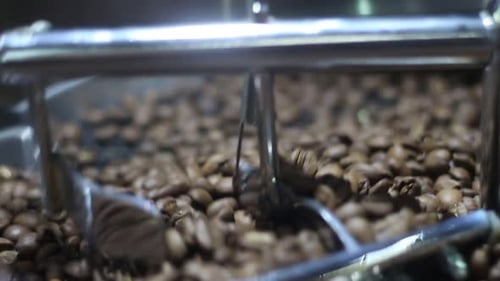 Coffee Beans Turning Inside of Roasting Machine