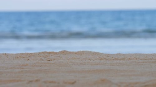Sea Beach