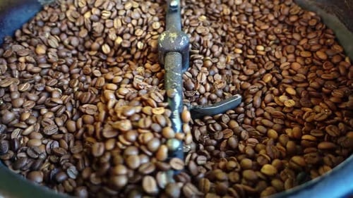 Roasted Coffee Beans in a Metal Drum