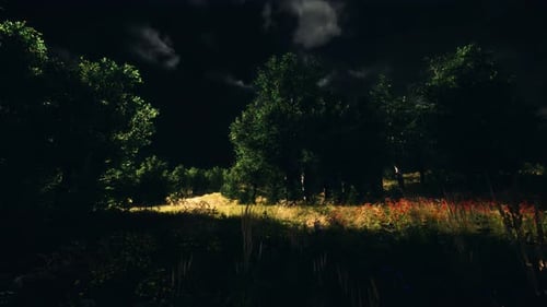 Thunderstorm Clouds with Lightning in Green Meadow