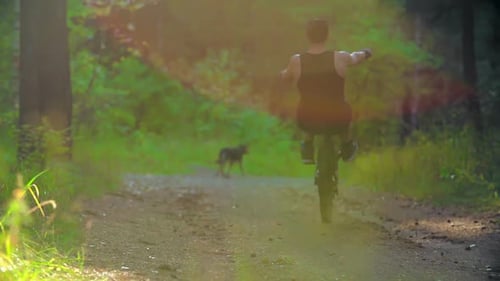 Man Rides Unicycle on Forest Trail