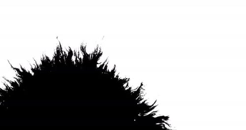 Baignement d'encre