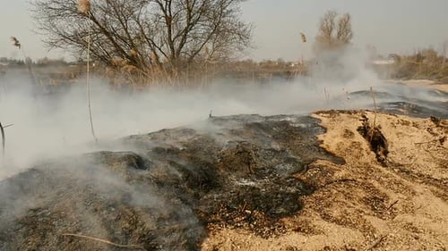 Scorched Earth with Grass on the Field