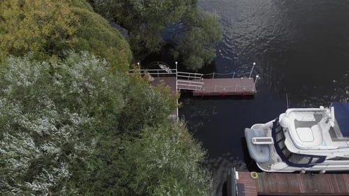 Camera Flies Out From Behind the Trees and Opens a View of Wedding Ceremony Area