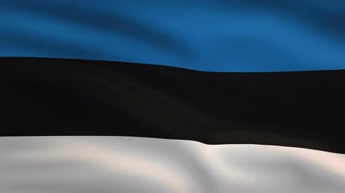 Estonia Flag Waving Seamless Loop Animation