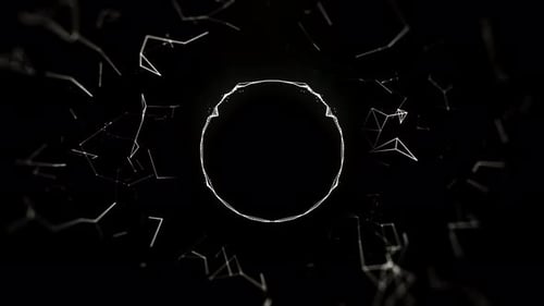 Futuristic Audio Waveform Visualizer Loop with Plexus Connections