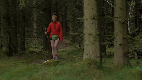 active female hiker woman walking outdoors on a trail in the woods