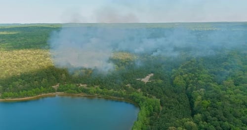 Waldbrand, verbrannte Bäume, Lauffeuer, Umweltverschmutzung, viel Rauch
