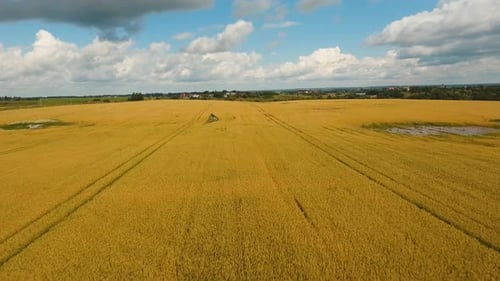 Aerial View of Golden Wheat Field