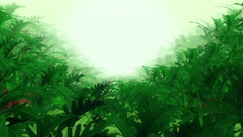 Pflanze 01 Hd
