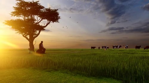 Peaceful Farm Landscape with Man, Tree, and Grazing Cows at Sunset