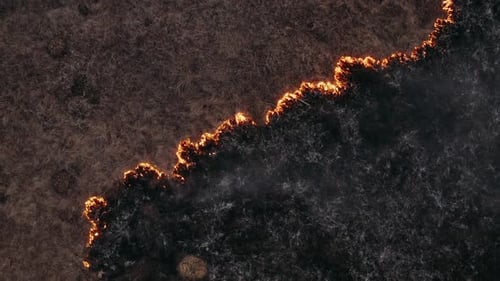 Natural Disaster, Fire Burns Dry Grass in the Field, Destruction of Nature. Epic Aerial Photography
