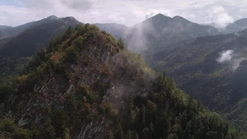 Flying Above Green Forest in Summer Trees Growing on Hills
