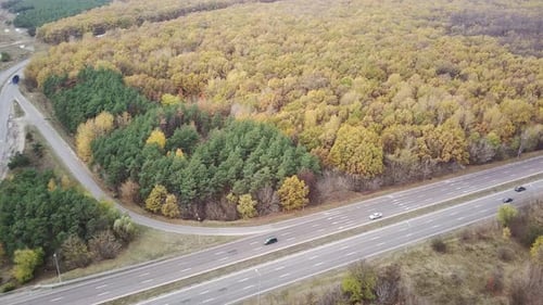 Luftaufnahme der Straße in der Nähe des Waldes auf dem Land