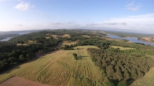 Scenic Aerial View of Green Fields and Rural Landscape
