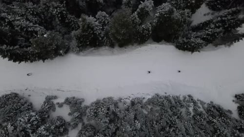 Ski Winter Sport