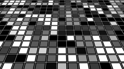 Monochrome Field Of Squares