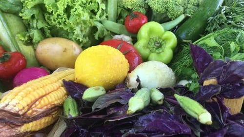 Variety of Fresh Vegetables Close Up Still Life