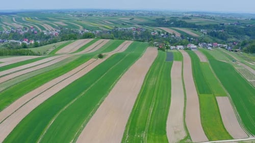 Aerial View of Green Agricultural Fields and Farmland