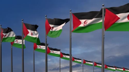 Sahrawi Arab Democratic Republic National Flags Waving Against Blue Sky