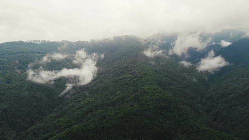 Flug über einen herrlichen Regenwald, Luftbild über dem Regenwald mit Nebel bei Sonnenaufgang. Video aus der Luft