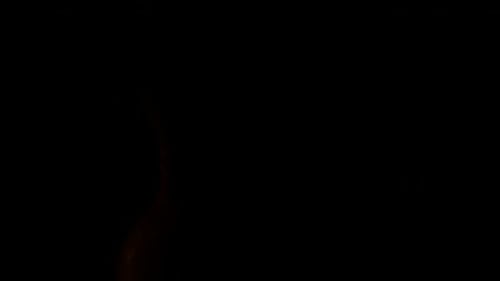 Flames Wick Candles. Close Up