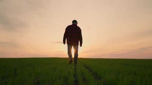 Farmer Walking in Green Field During Golden Hour