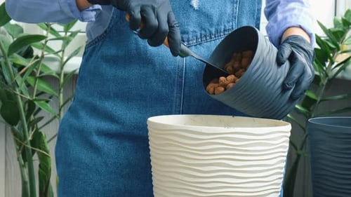 Person Potting a Plant with Gardening Tools Indoors