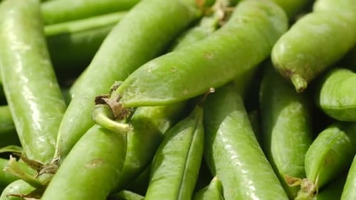 Gros plan de la rotation des gousses à pois verts frais