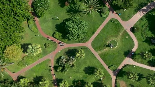 Central Park with a DPON