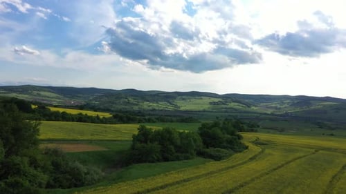 Images Over The Field With Rapeseed And Grass