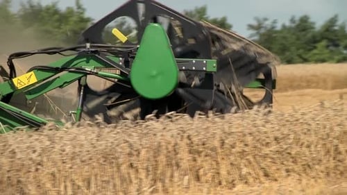 Combine Harvester Harvesting Golden Wheat in Field