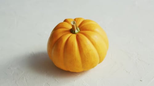 Bright Yellow Pumpkin Still Life