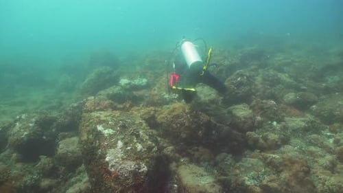 Scuba Diver Underwater